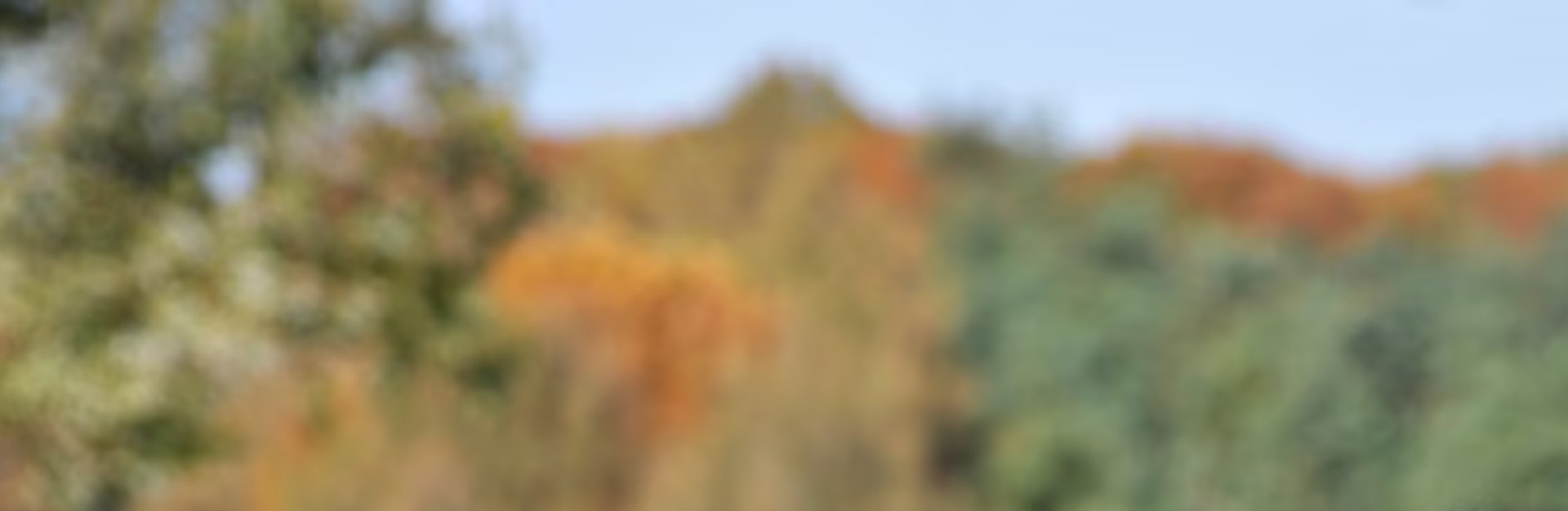 Header (1)